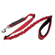 Nylon Pet Dog Bungee Leash with Snap Hook